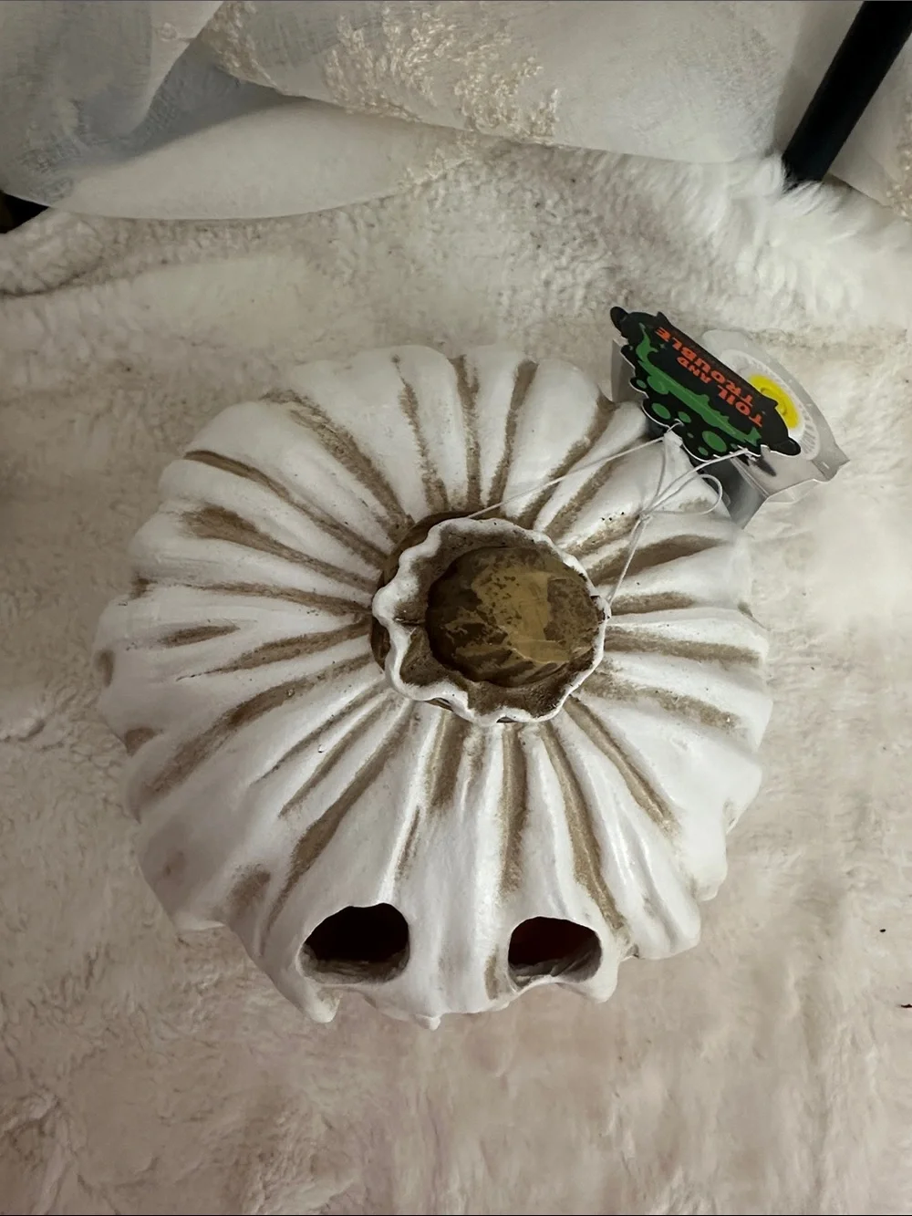 Toil and  trouble, ghost pumpkin LED lighting decor